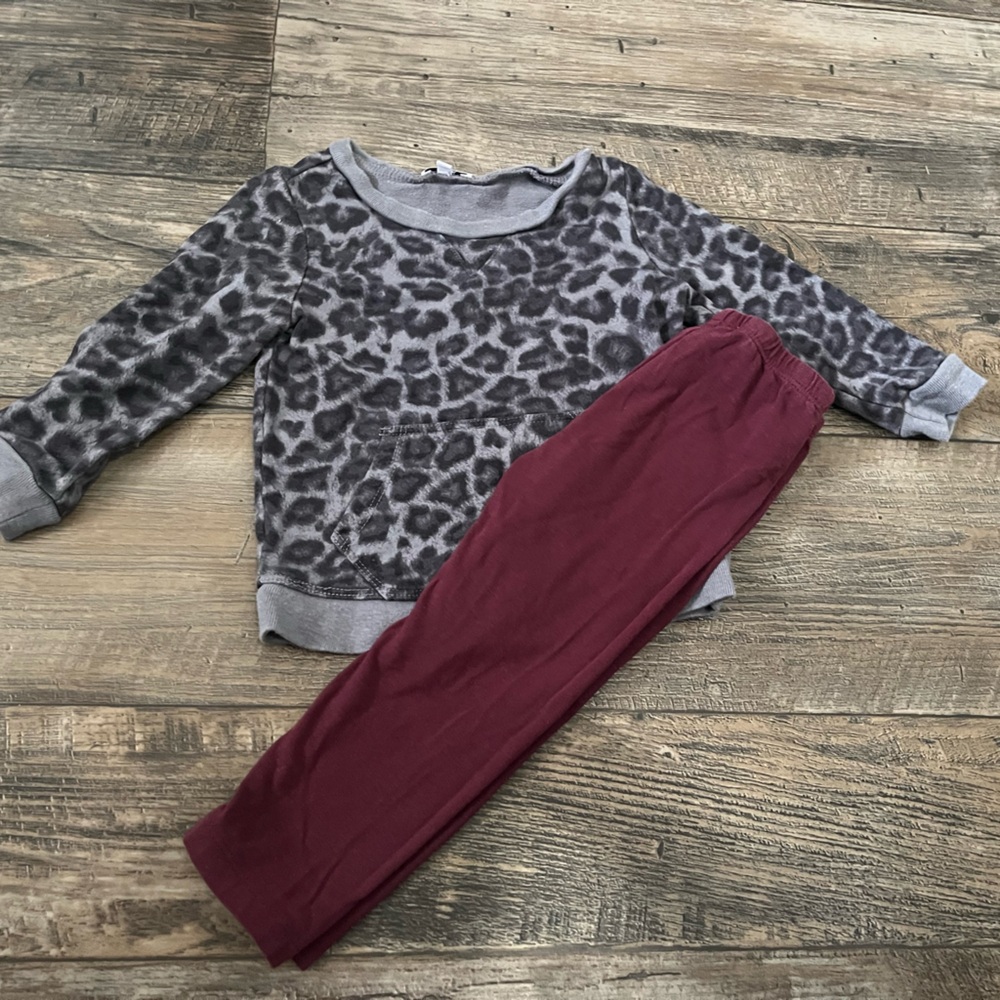 Splendid Gray Leopard Print Top with Maroon Leggings
